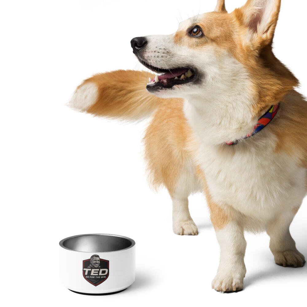 Pet bowl - Image 3