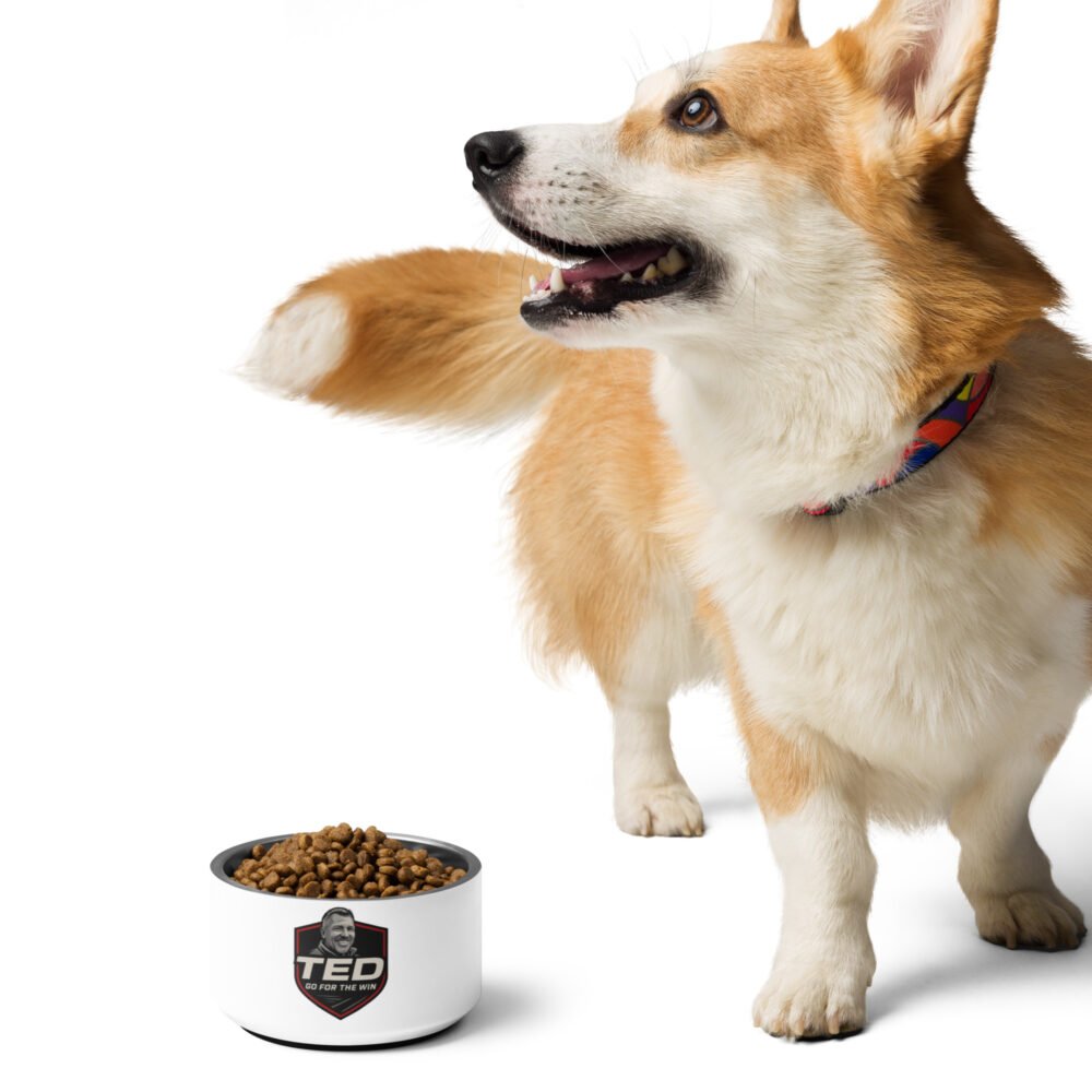 Pet bowl - Image 2