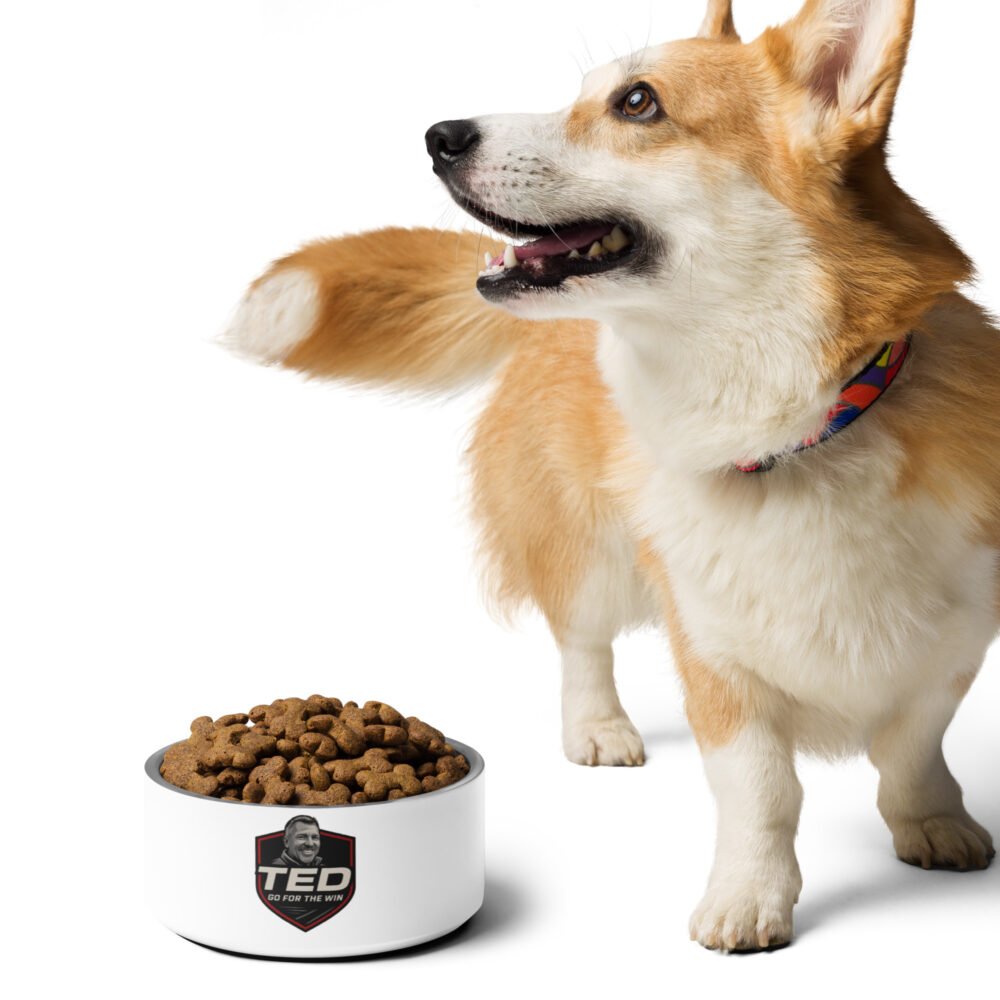 Pet bowl - Image 4